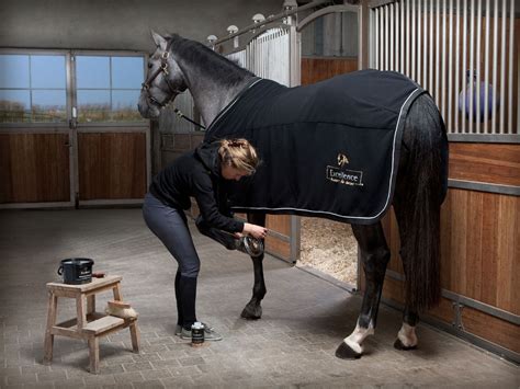 Excellence ™ Products for Horses