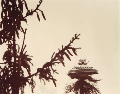 "Billy" Eduard Albert Meier, Beamship in Tree, Hinter-Schmidruti ...