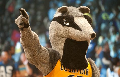 University of California Mascots, Ranked by Dan — Is This a Thing?