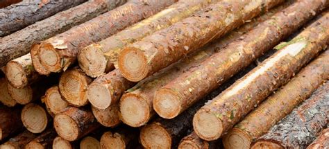 Timber Vs Lumber Vs Log – Differences, Uses, Pros And Cons - The ... 
