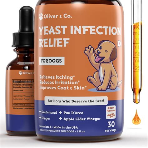 Amazon.com : Natural Yeast Infection Treatment for Dogs | Helps to