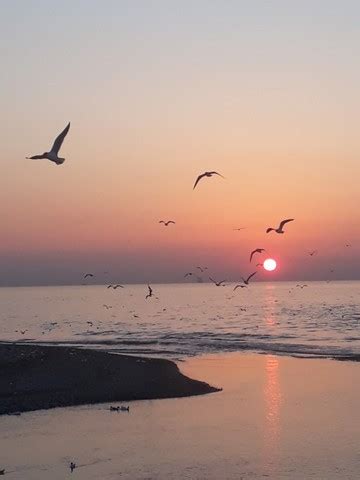 Top 3 things to do in Strand Beach Mersin