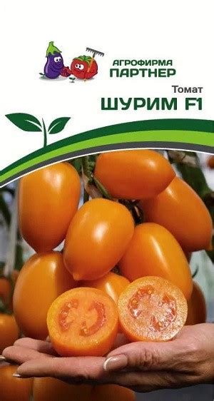 Купить "3263P Томат ШУРИМ F1 10 шт" По 120 руб. - 🌷Семена ТМ Партнер🌷