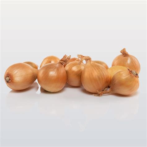 Shallot sets | Broer B.V.