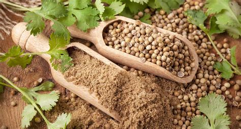 10 Best Coriander Substitutes for Cooking