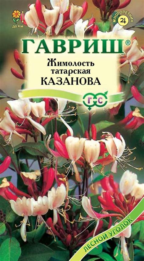 Семена Жимолость татарская Казанова, 0,08г, Гавриш, Лесной уголок по ...
