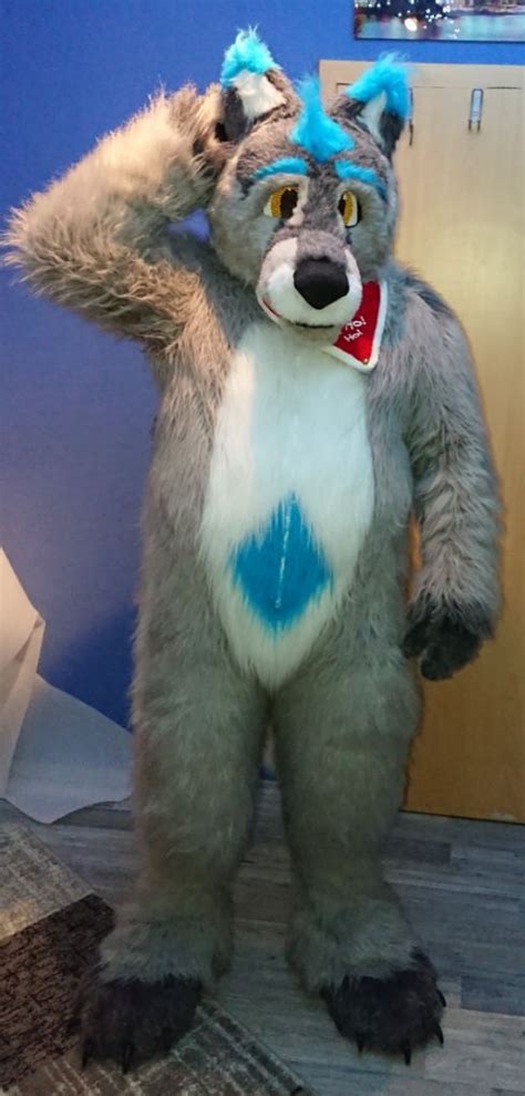 German Fursuit Maker | Wiki | Furry Amino