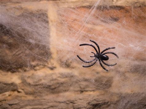 Halloween Decorations, Brick Wall, Thick Spider Webs, Fake Spiders ...