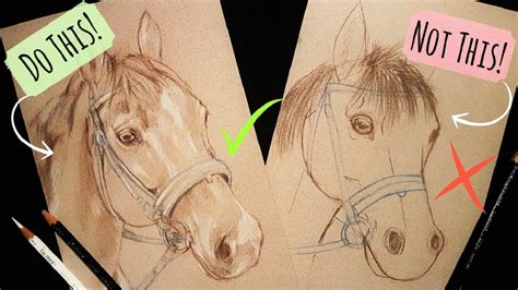 How To Draw A Lifelike Horse