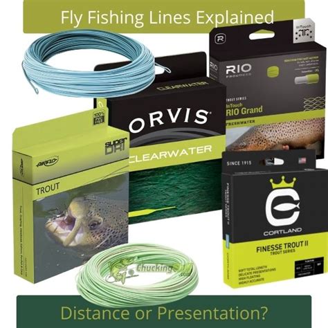 fly fishing lines explained  guide   beginner