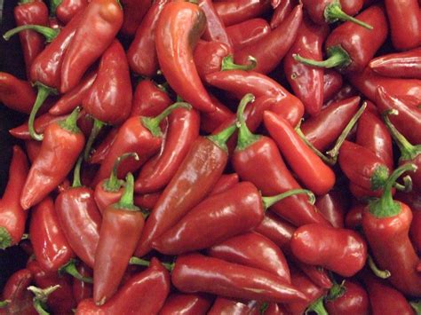 Острый перец на зиму – как мариновать горький перец [12 рецептов]