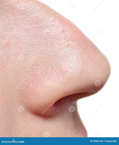 Human Nose Stock Photo | CartoonDealer.com #31369002