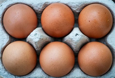 Eggs Six Box - Free photo on Pixabay