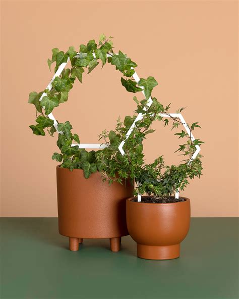 Honeys Plant Climbers - The Australian Made Campaign