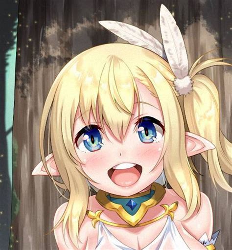 Sukebe Elf Tanbouki Vol.1-2 DVD [censored] [no Subtitles] [discs Only ...