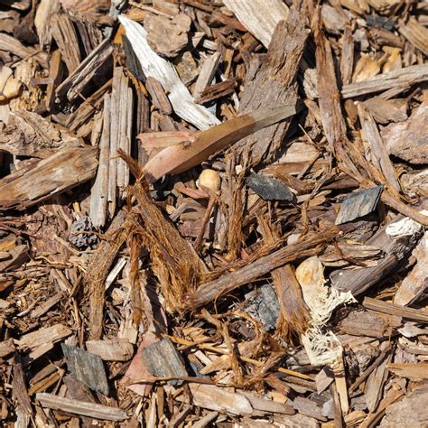 natural pine mulch willowlee sod farms