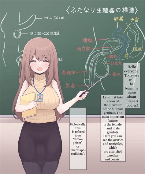 A Presentation on Futanari Anatomy (Minishell) : r/Futadomworld