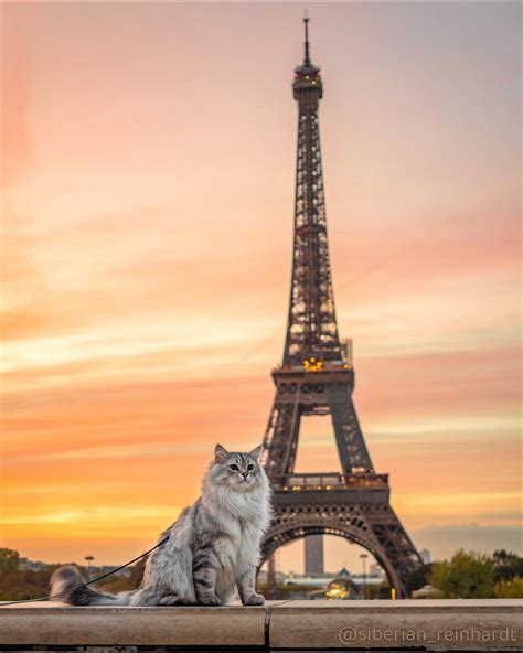 paris has fallen : r/CallMeCarson