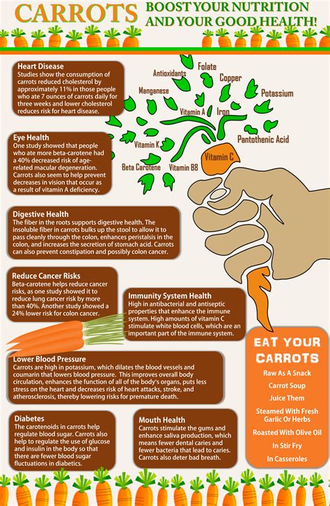 Carrots For Nutrition Boost – The Juicing Corner