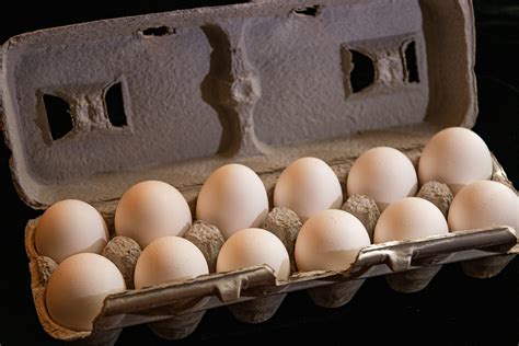 Vital Farms Egg Recall Lawsuit | Free Case Evaluation