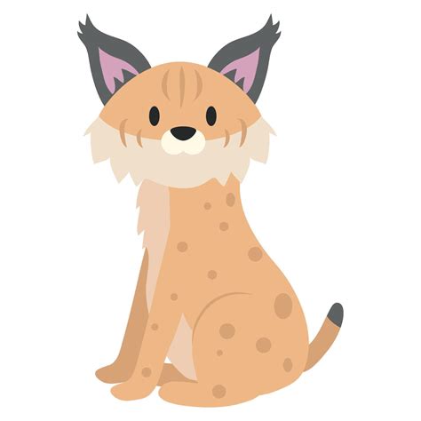lynx cute illustration  vector art  vecteezy