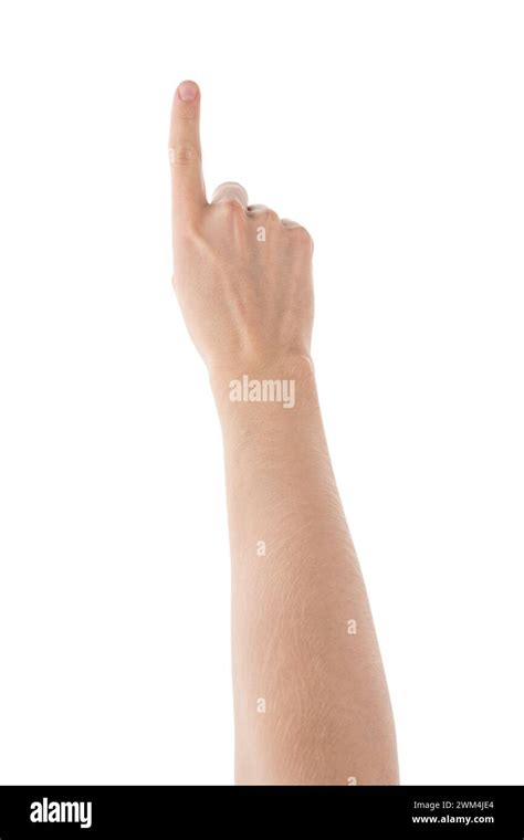 adult man hand count  isolated  white background high detailed