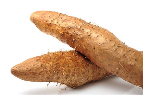Long Yam Stock Photos, Pictures & Royalty-Free Images - iStock