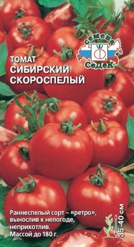 Томат Сибирский скороспелый: характеристика, ОТЗЫВЫ (21), фото