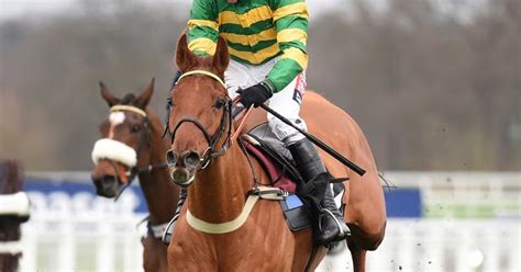 cheltenham races neptune investment management novices hurdle
