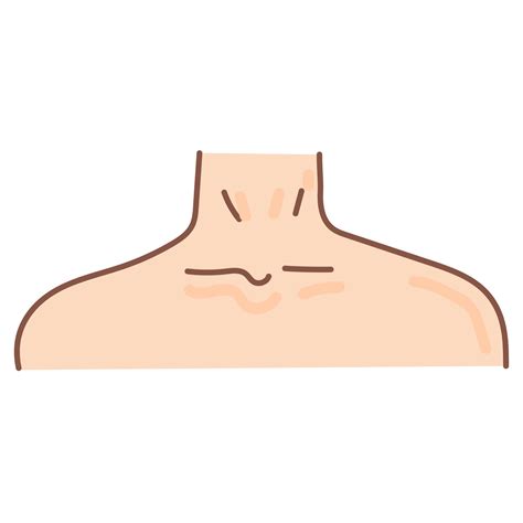 neck  shoulder doodle cartoon  png