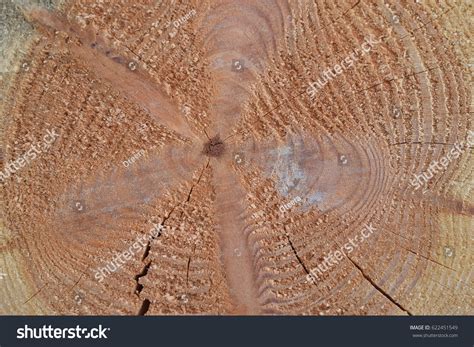 wood texture background stock photo  shutterstock