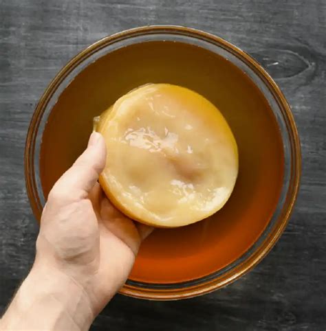Scoby Là Gì? Cách Làm Con Giống Scoby đơn Giản Tại Nhà | An Thành