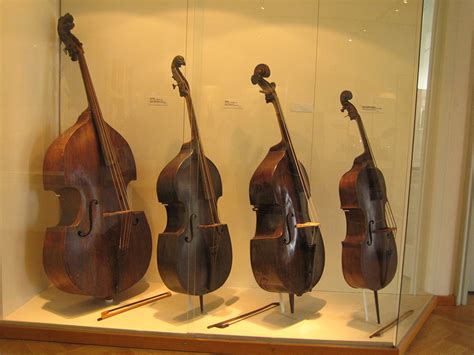 Choosing the Right Contrabass Strings: A Comprehensive Guide - Share A Word
