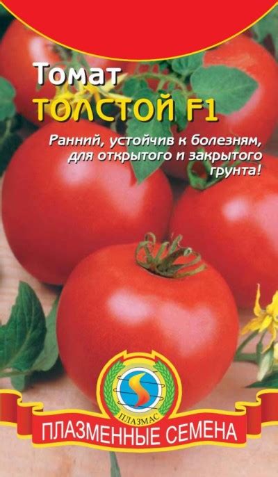 Томат Толстой: ОТЗЫВЫ (28), фото, урожайность, описание и ...