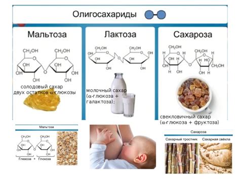 Презентация по теме "Углеводы" - биология, презентации