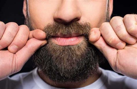 life4beard.ru какой триммер для бороды выбрать как стричь бороду ...