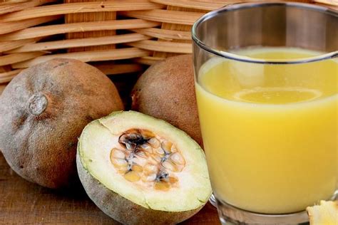 Para Que Serve O Suco Do Jenipapo
