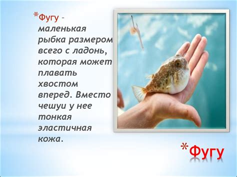 Рыба фугу - презентация онлайн