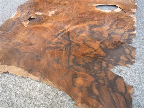 Noten Wortel 30x41cm – Hout-Fineer.nl