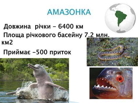 Презентація " Води Південної Америки"