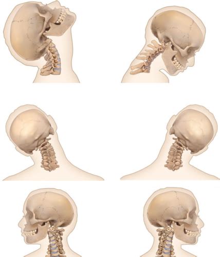 Shoulder assessment: Objective, clearing, active ROM, passive ROM ...