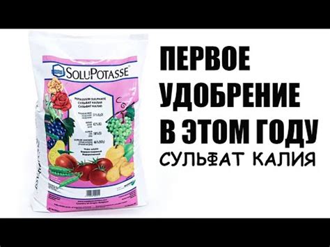 Первое внесение удобрений под малину и ежевику в начале сезона - YouTube