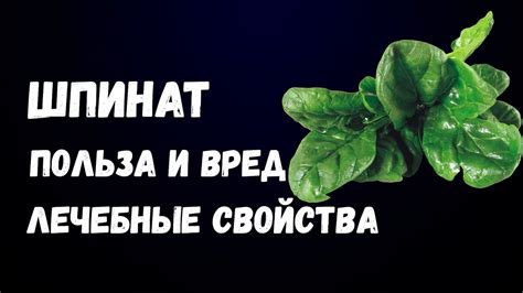 Шпинат Польза и Вред Лечебные Свойства - YouTube