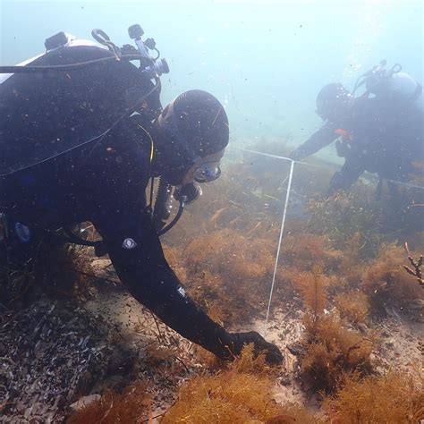 Mystery Shipwreck - Archaeology Case Study | Australian National