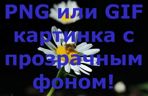 Добавить эффекты для фотографии или картинки онлайн, страница 3 - IMG ...