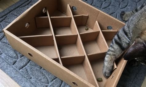 Cat Puzzle Feeder: Make Your Cats Smarter In a Rewarding Way - Cat Loaf ...