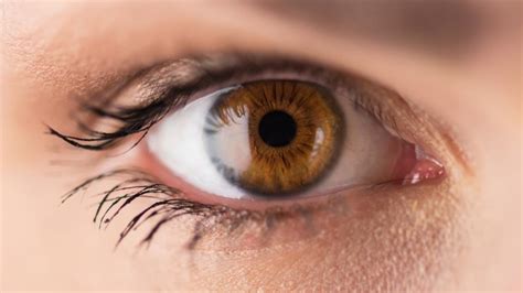 Brown Eyes
