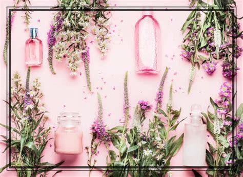 Toners 101: 5 Toners You Need To Try For Their Herb-Based Formulation ...