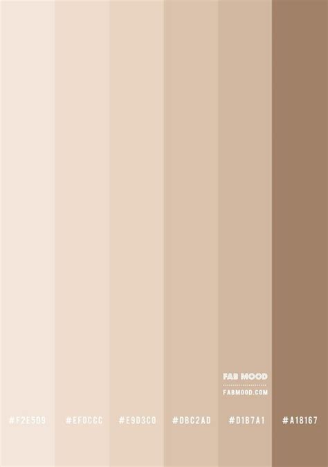 25 best beige color palettes with names and hex codes – Artofit