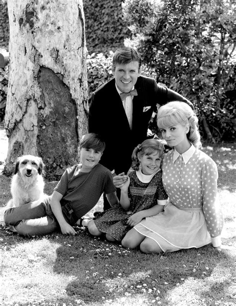 Blondie (1968) - CBS Series